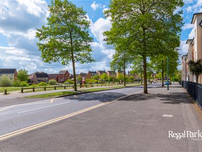 Picture 17